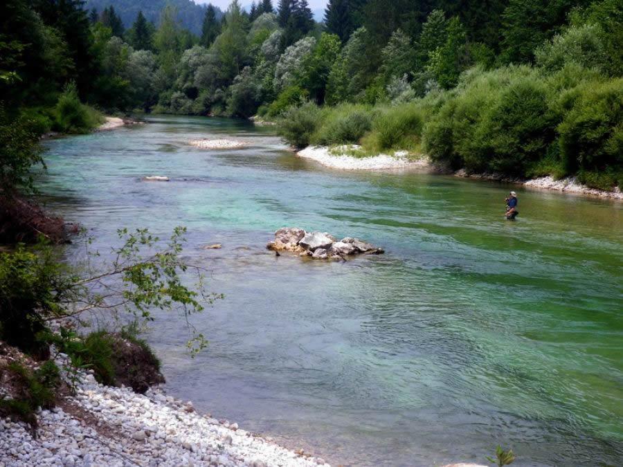 Rems Apartment Bohinj ภายนอก รูปภาพ